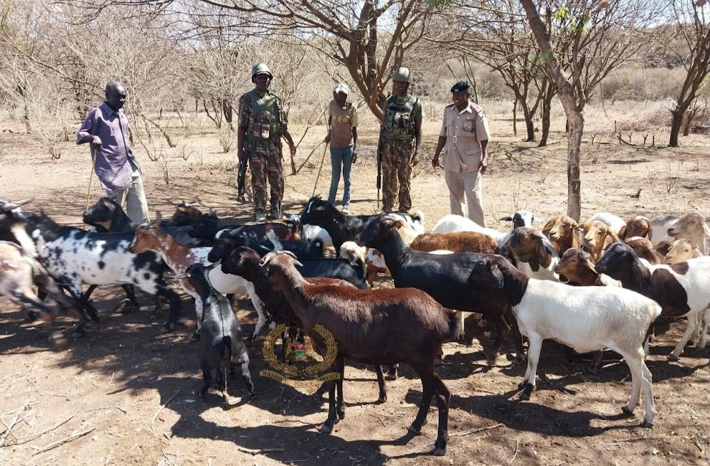 Investigations As Unknown Persons Steal Six Goats In Kisii